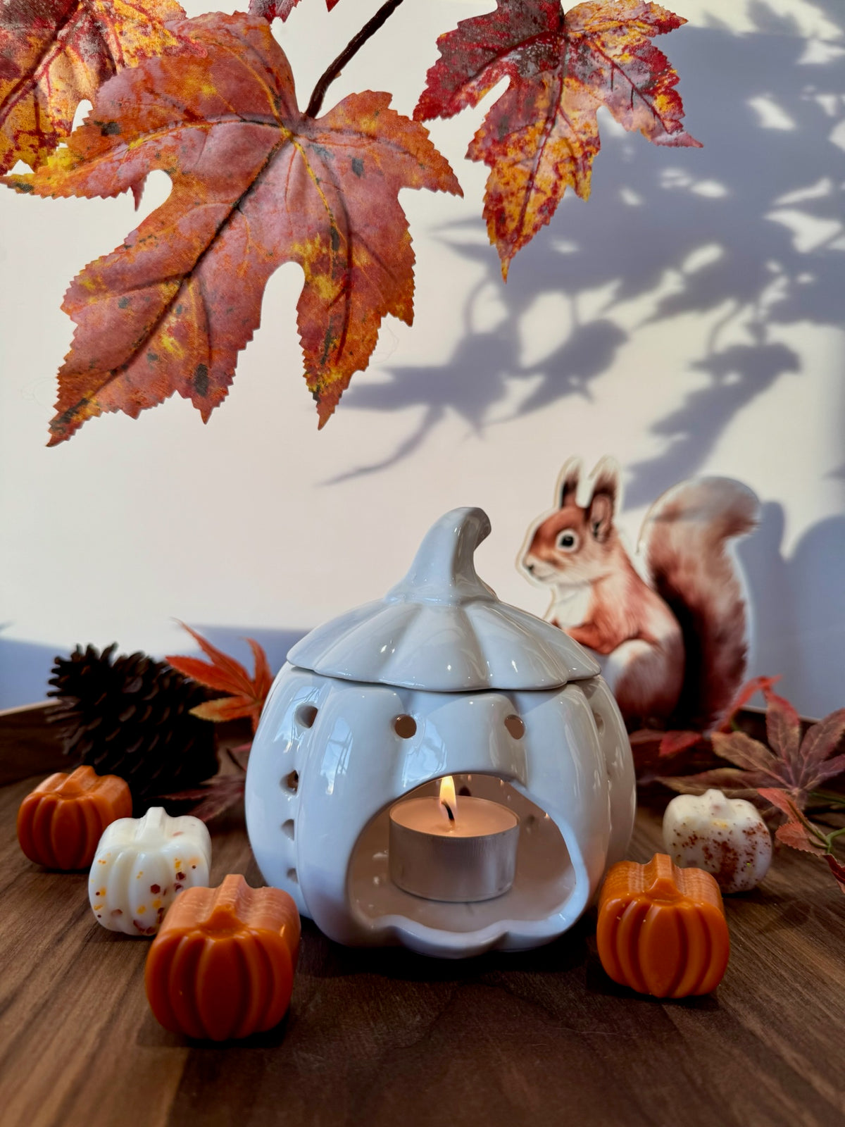 Pompoen waxbrander (wit/oranje)