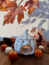 Pompoen waxbrander (wit/oranje)