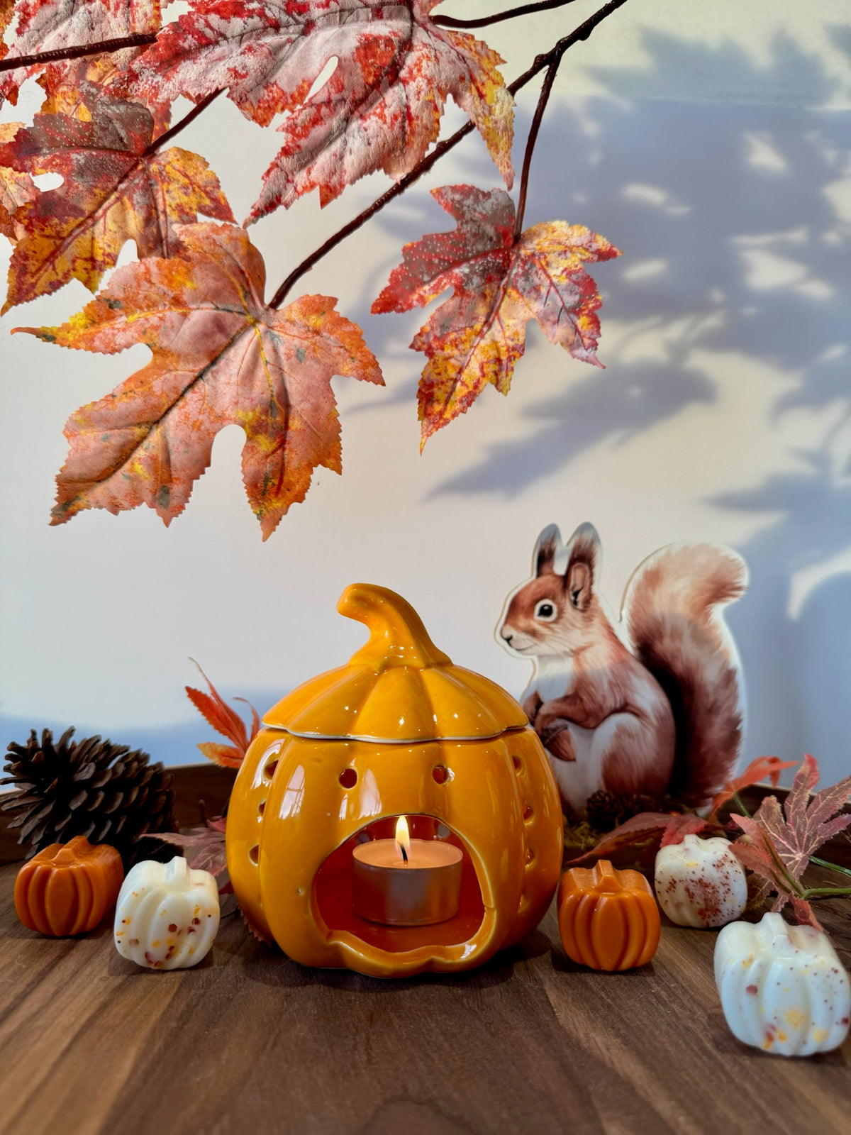 Pompoen waxbrander (wit/oranje)