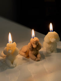 Lady - liggende poedel kaars