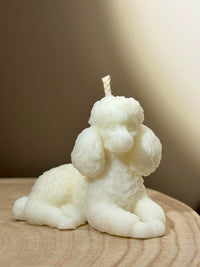 Lady - liggende poedel kaars