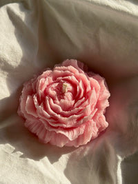 Peony petals