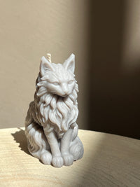Bougie Maine Coon