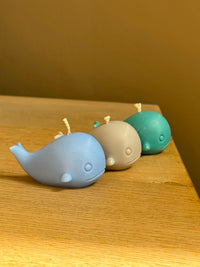 Walvis