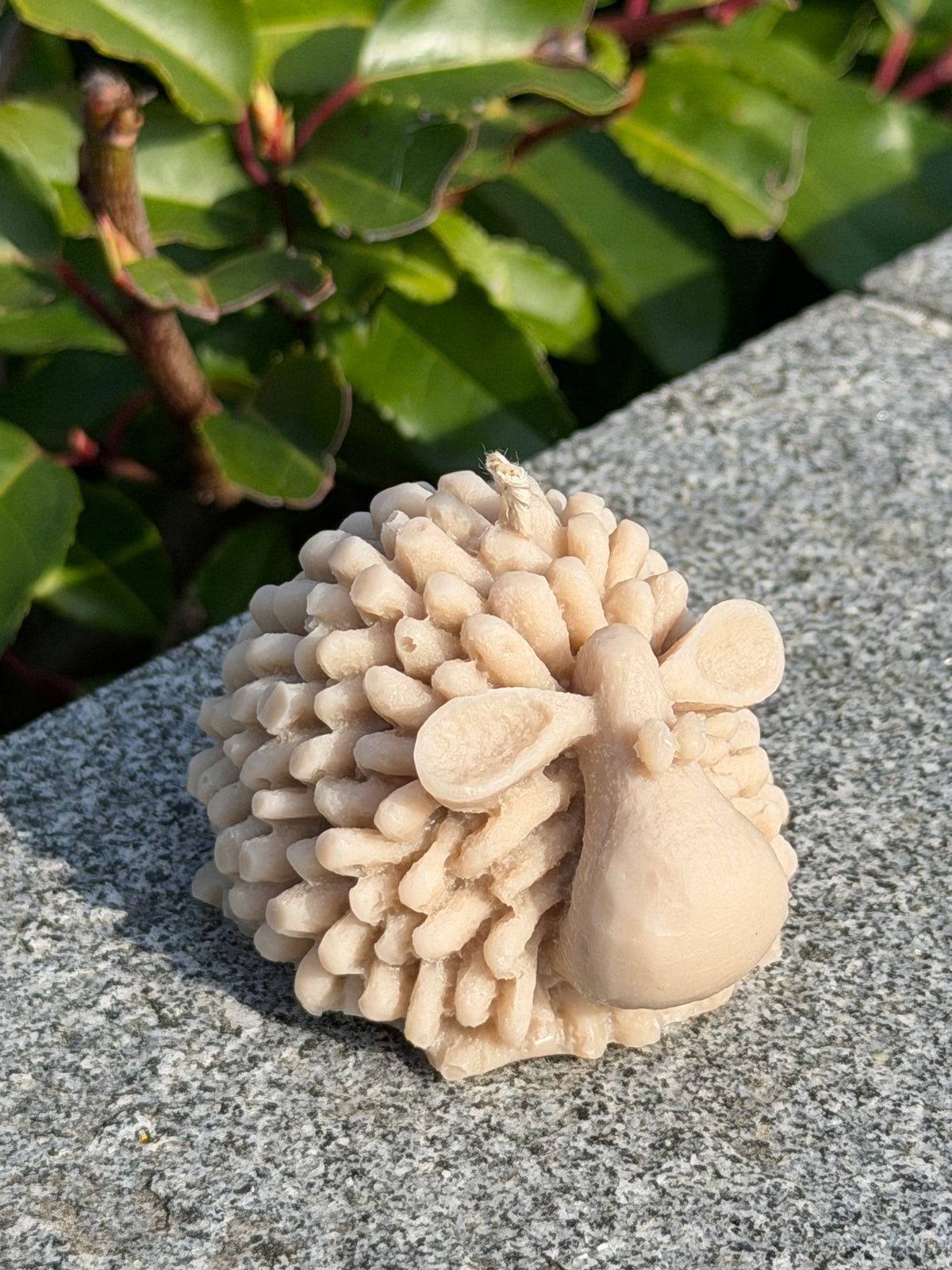 Fluffy Sheep