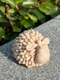 Fluffy Sheep