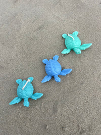 Tortue Marine