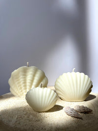 midi schelp