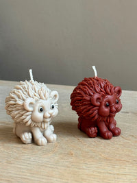 Wild lion
