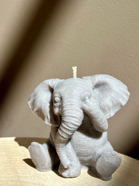 Lucky Elephant