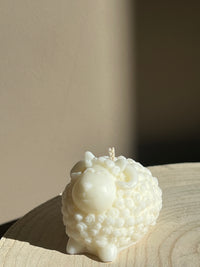 Schattige schaap