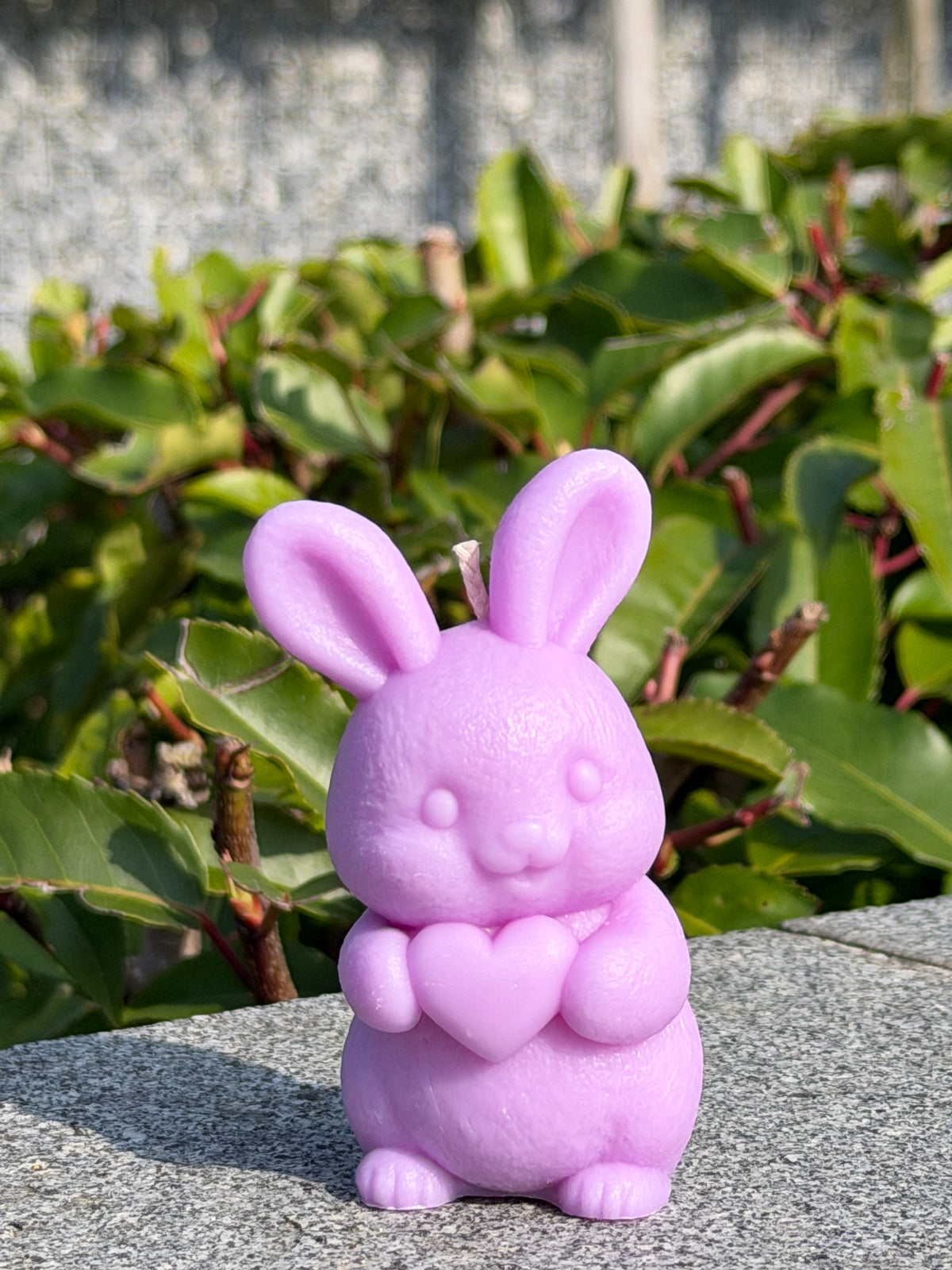 Love Bunny