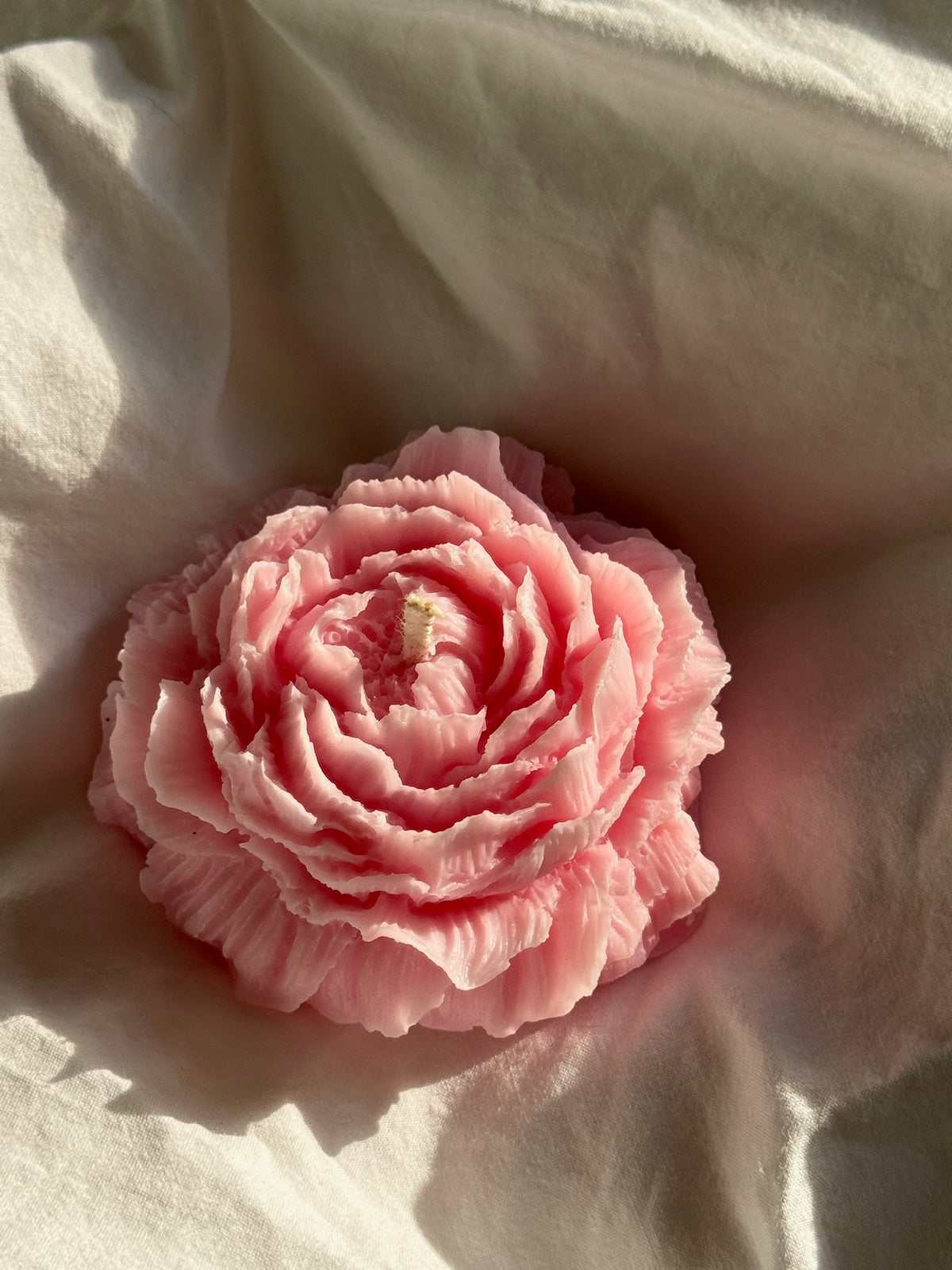 Peony petals