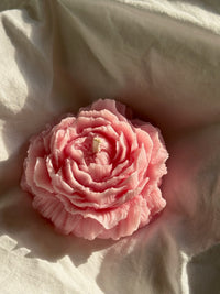 Peony petals