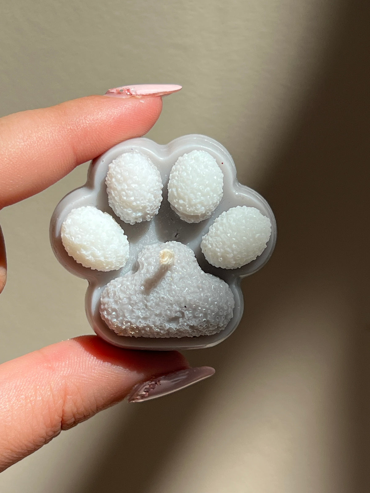 Little Paws