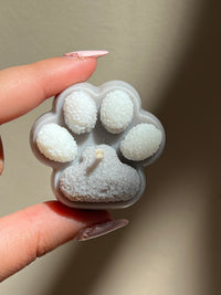 Little Paws