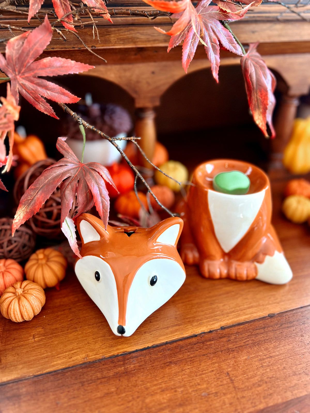 Foxy waxbrander