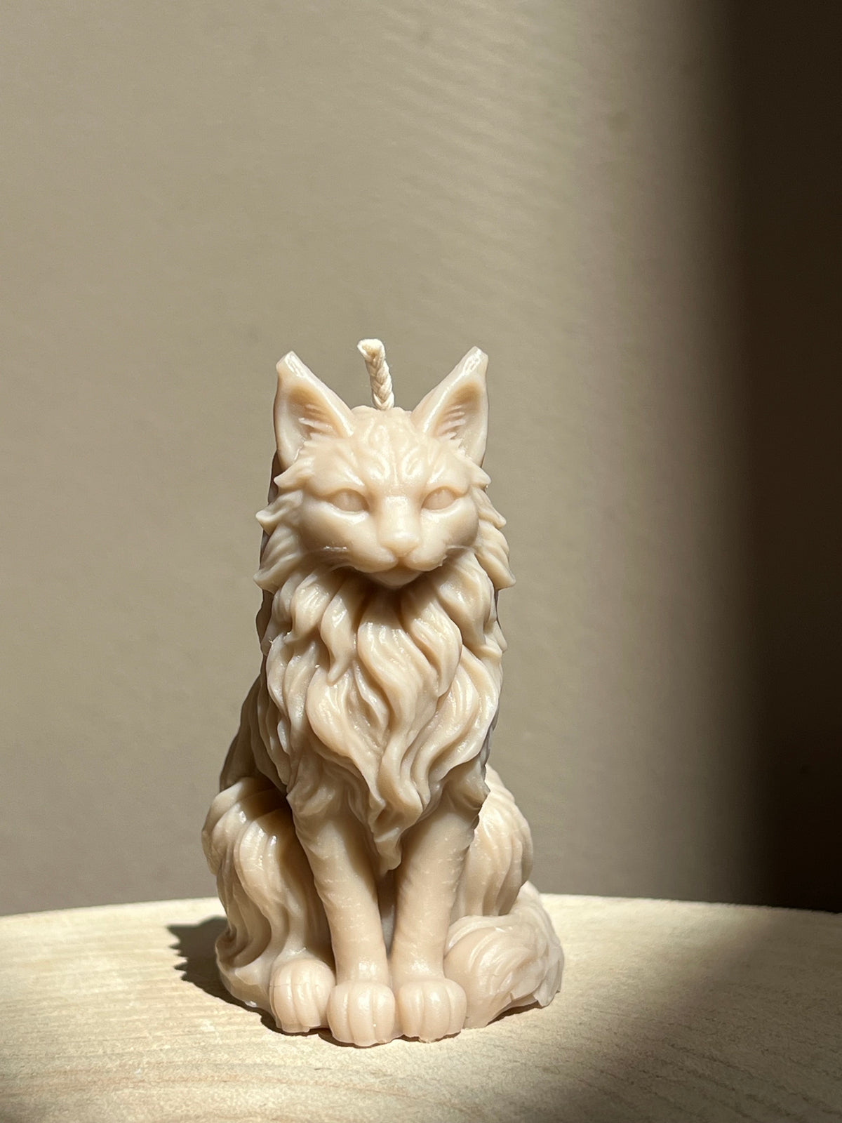 Bougie Maine Coon
