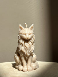 Bougie Maine Coon