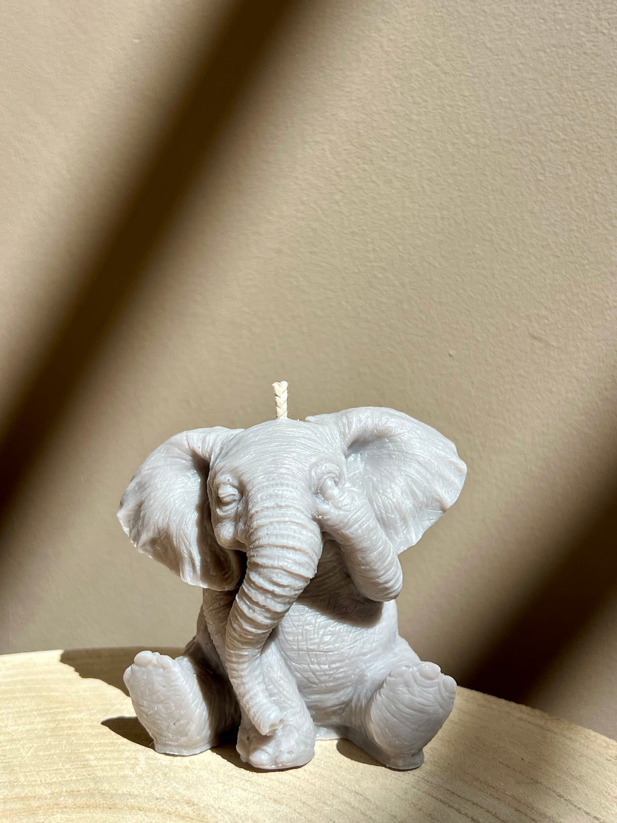 Lucky Elephant