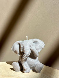 Lucky Elephant