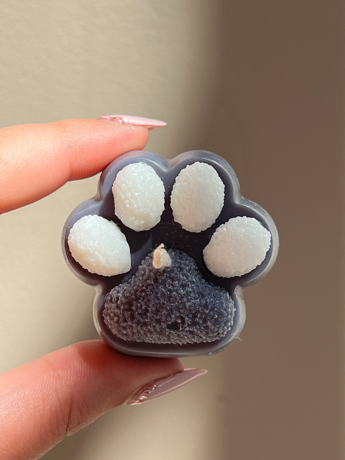 Little Paws