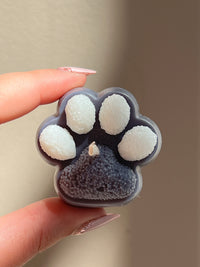 Little Paws