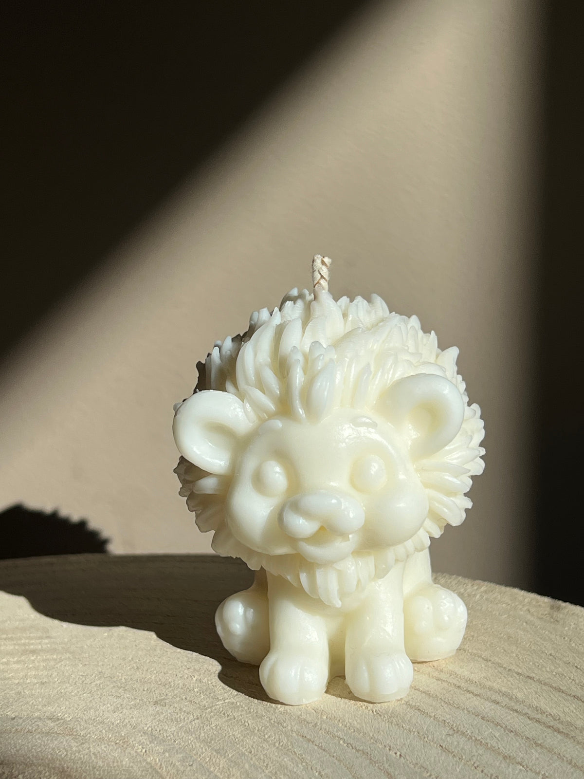Wild lion