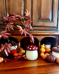 Forest Mushroom