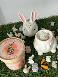 Easter Bunny - waxmelts