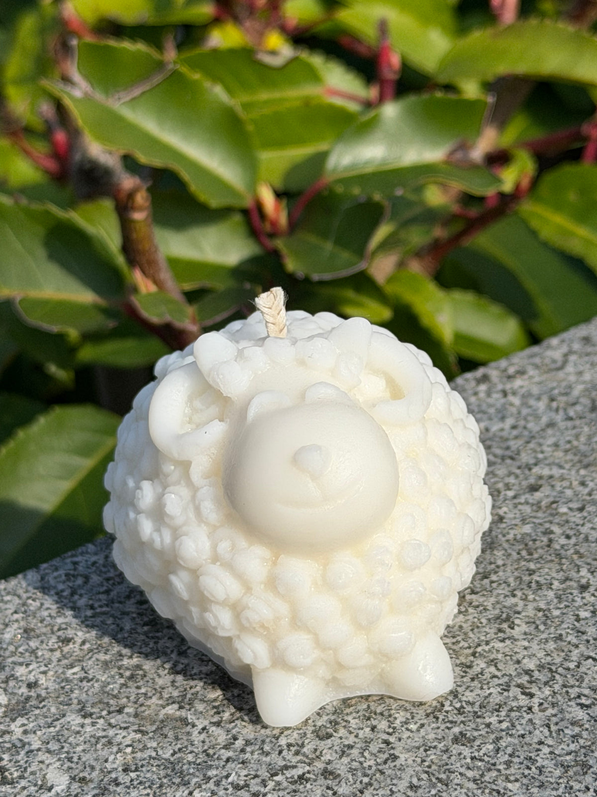 Woolly Sheep