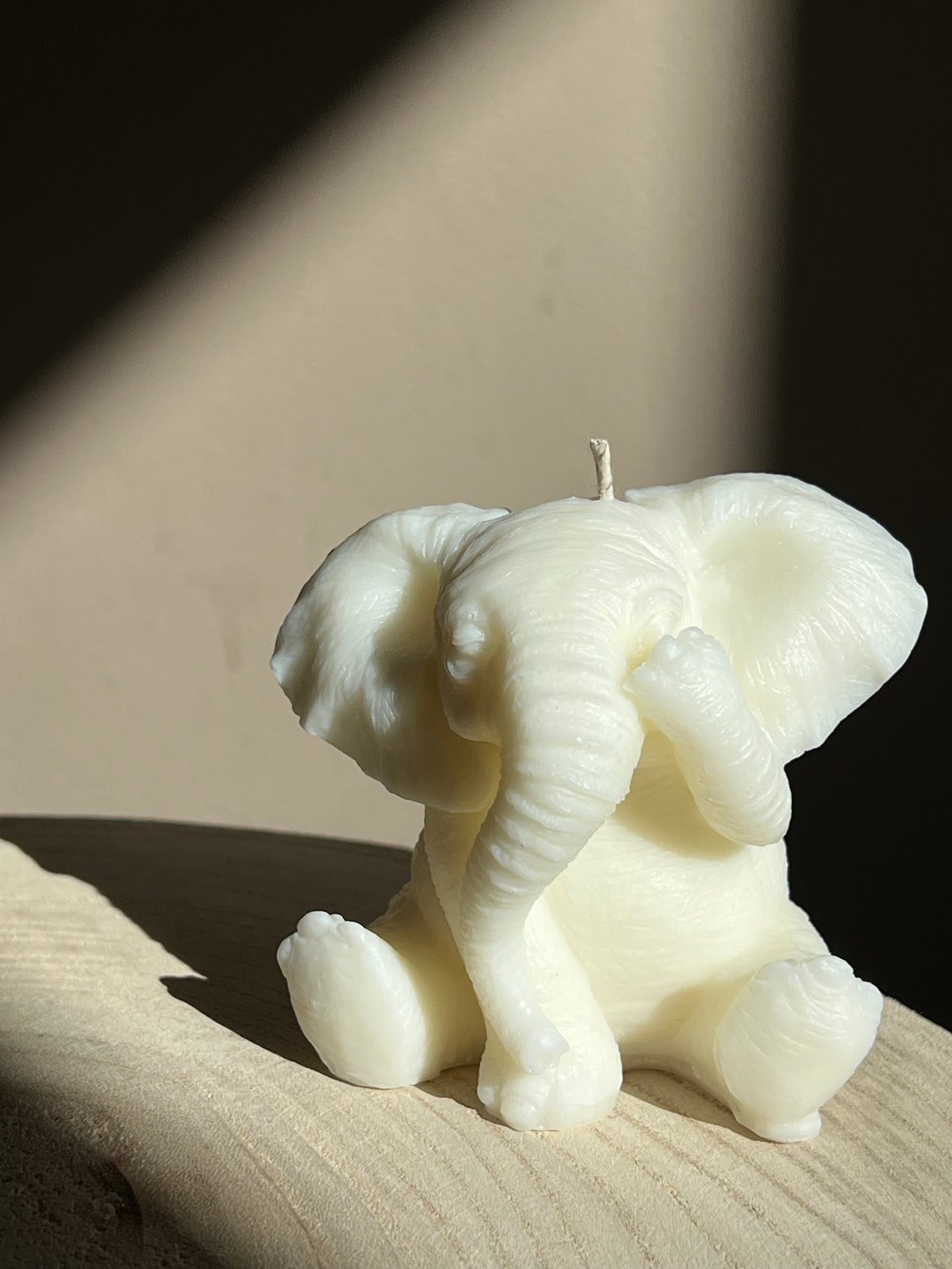 Lucky Elephant