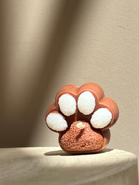 Little Paws