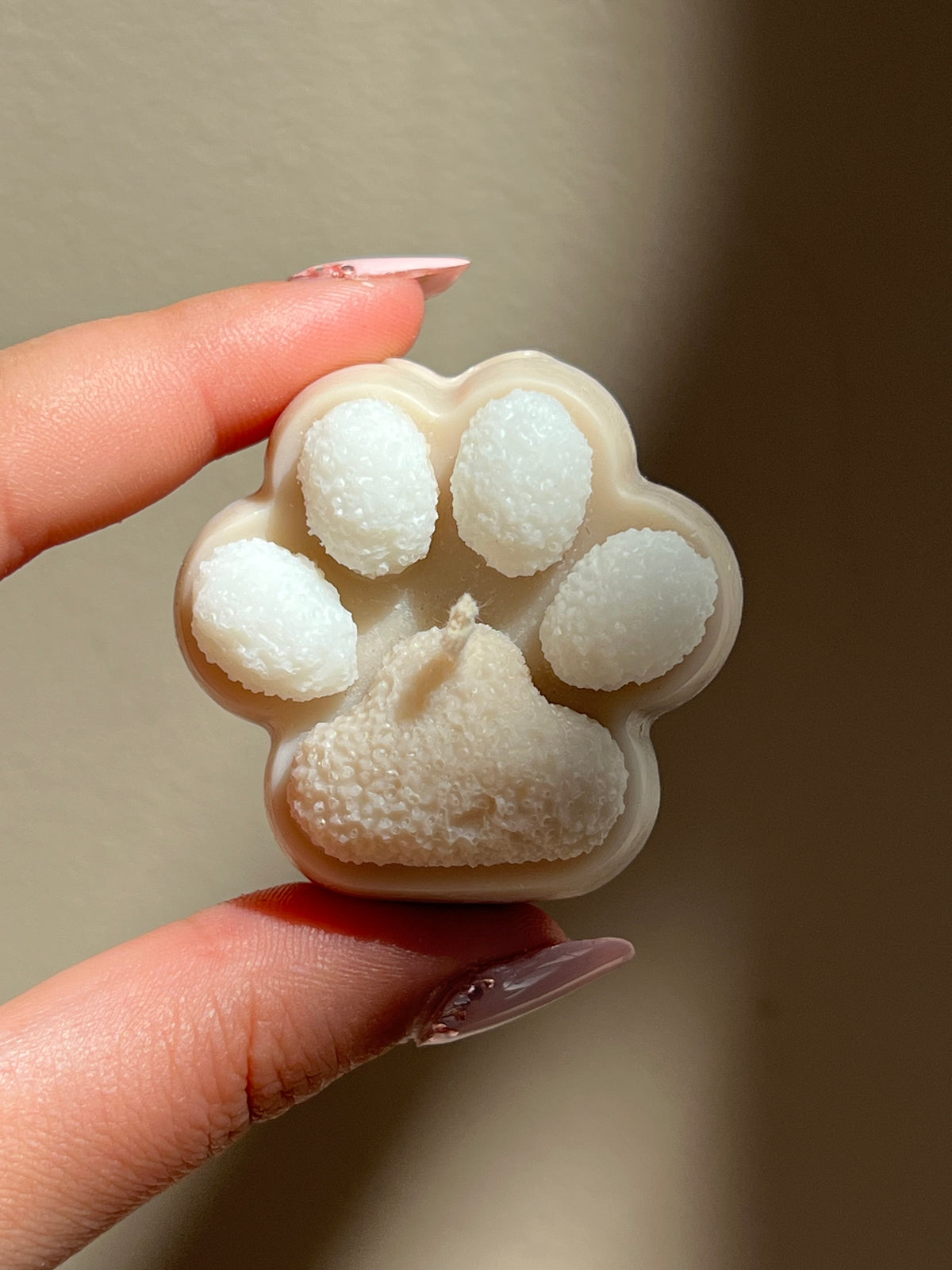 Little Paws