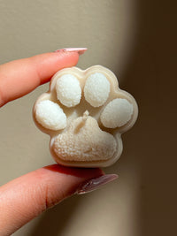 Little Paws