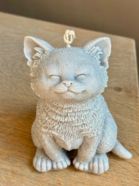 Grand chat