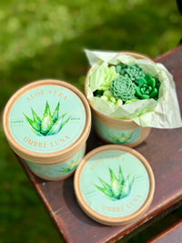 Aloe vera waxmelts