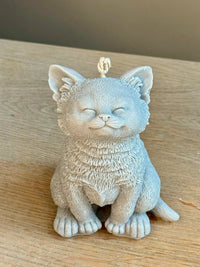 Grand chat