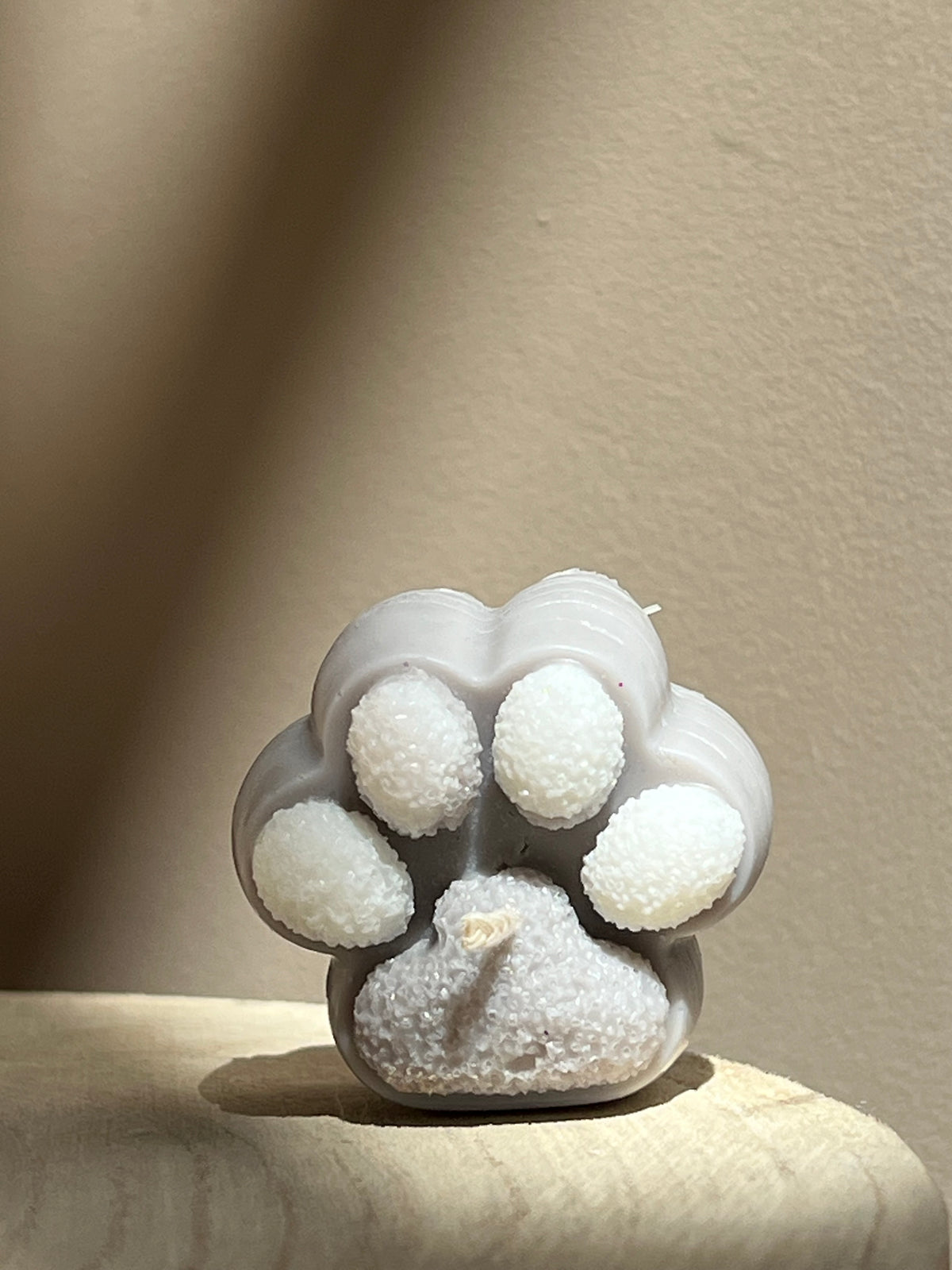 Little Paws