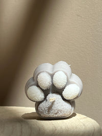 Little Paws