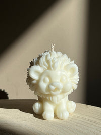 Wild lion