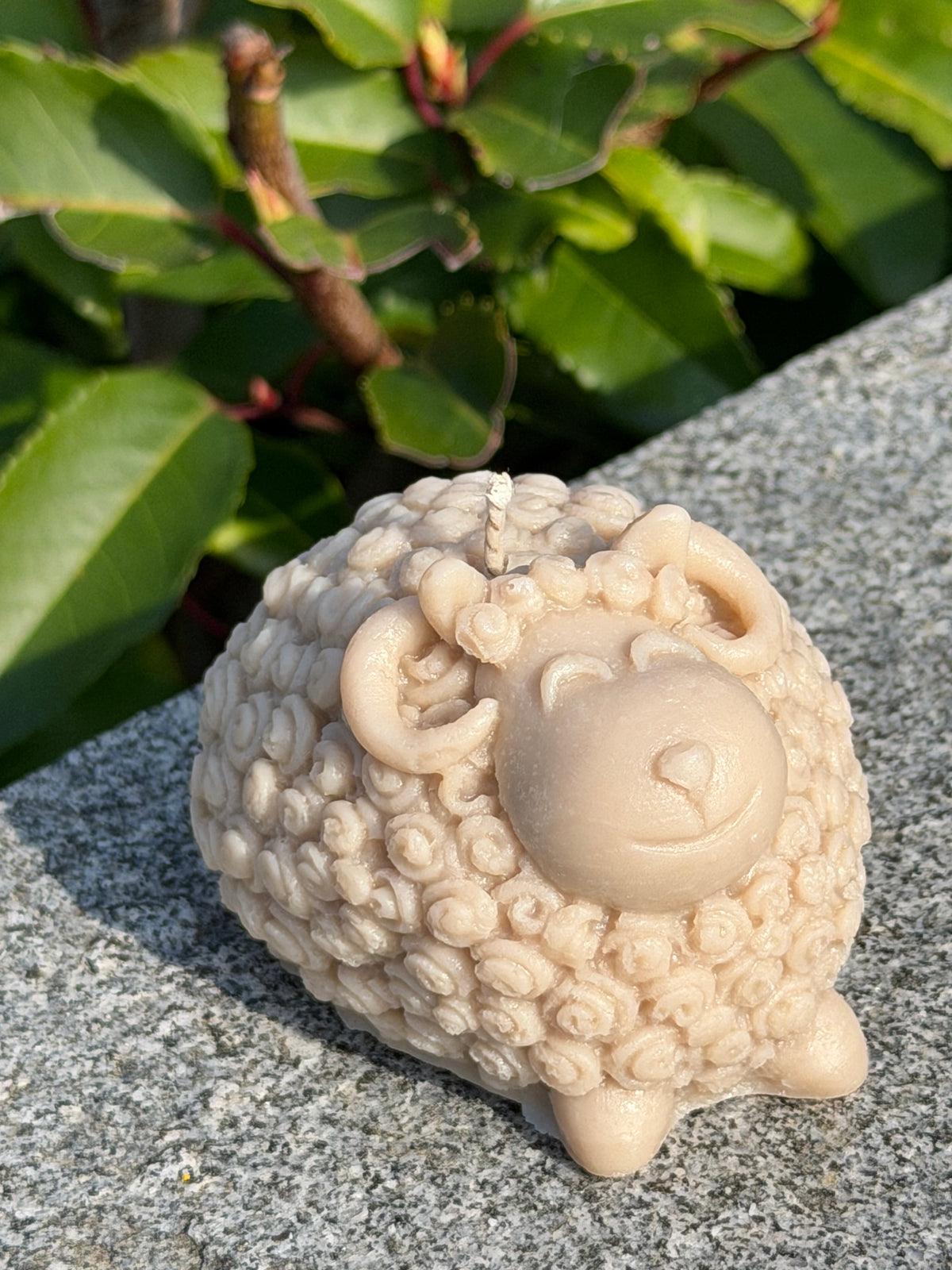 Woolly Sheep