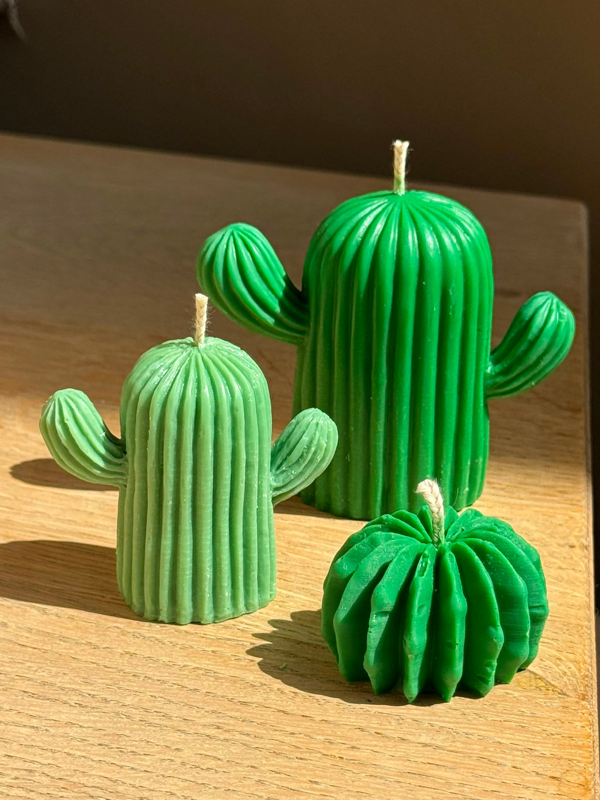 Woestijncactus klein