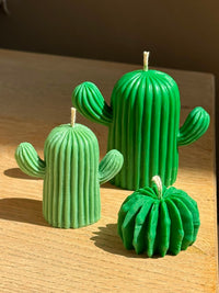 Woestijncactus klein