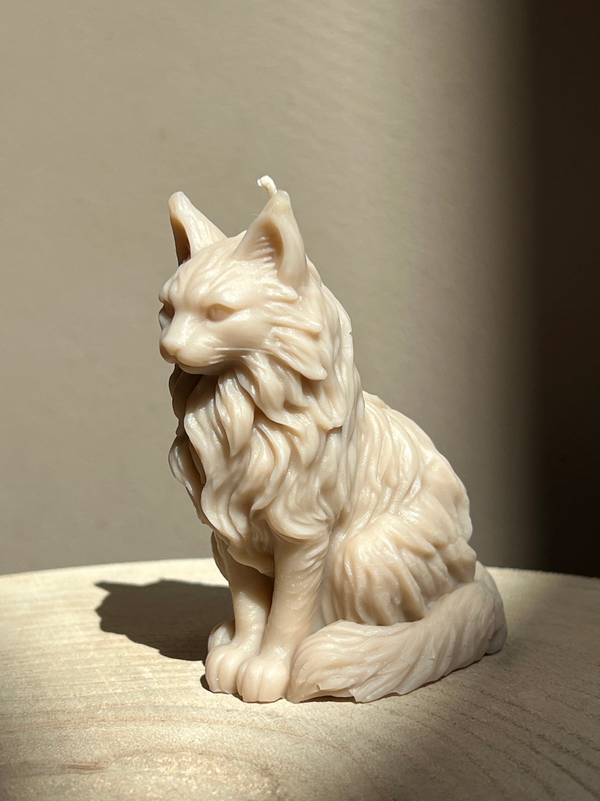 Bougie Maine Coon