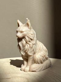 Bougie Maine Coon