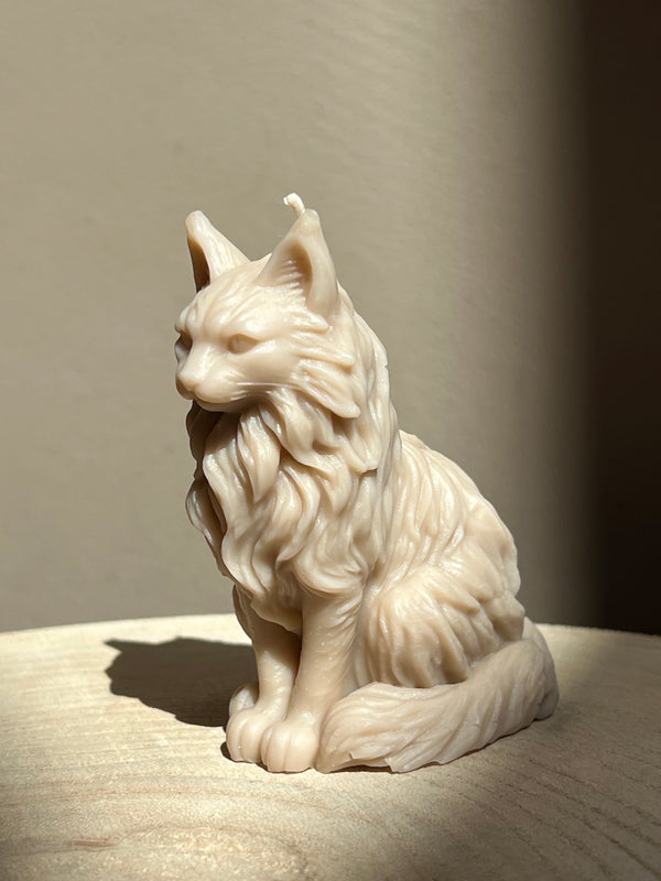 Bougie Maine Coon