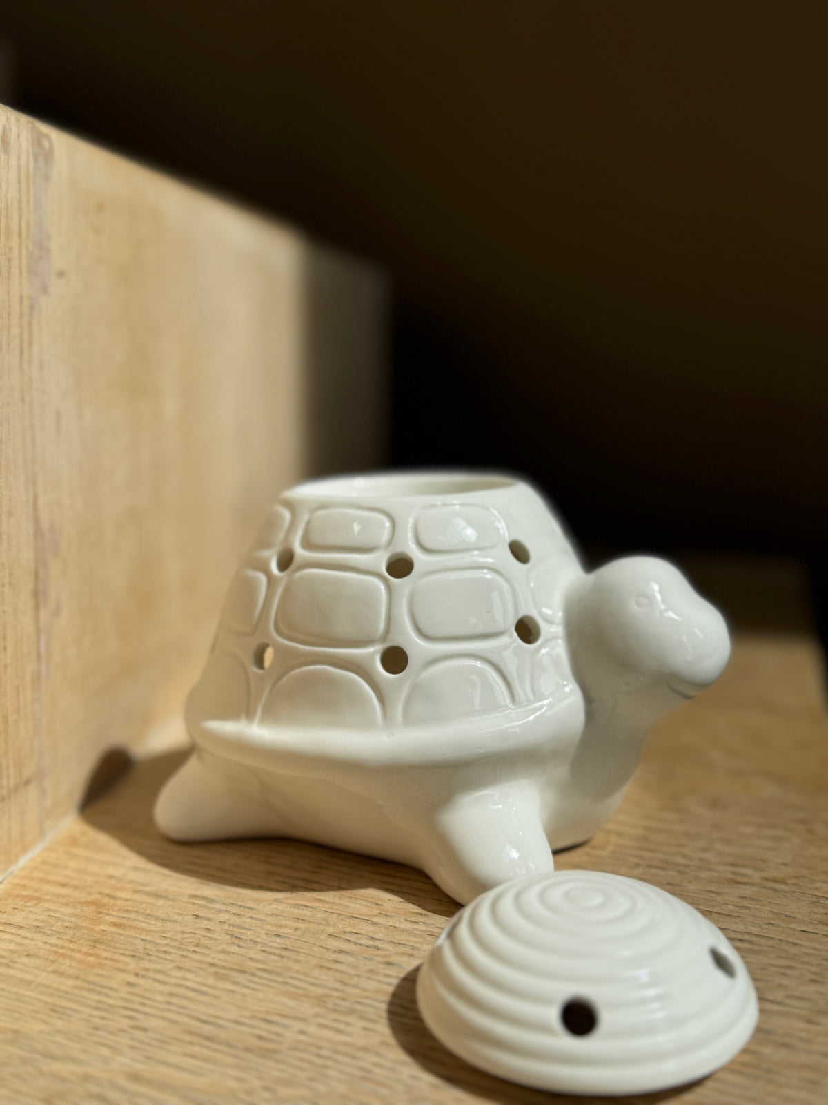 Schildpad waxbrander