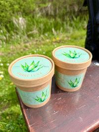 Aloe vera waxmelts