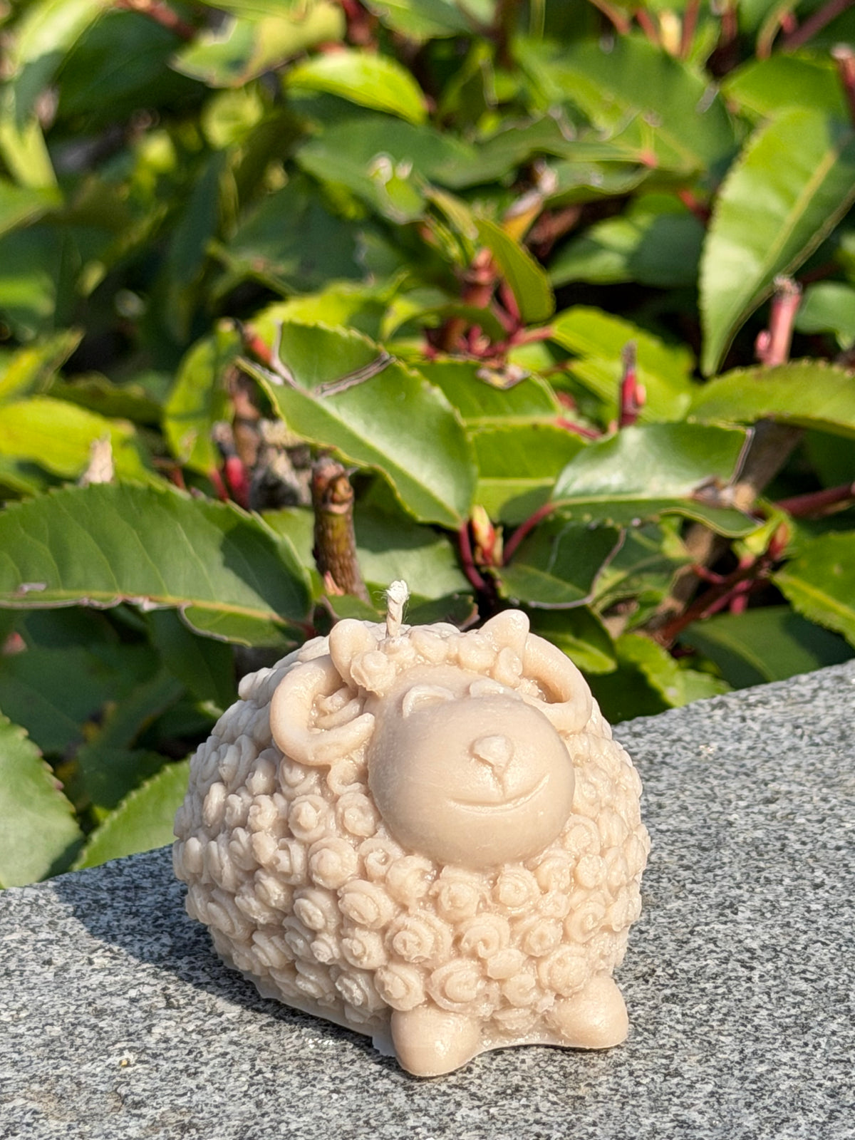 Woolly Sheep